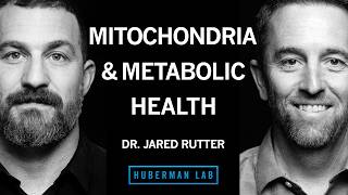 YouTube video preview for Mitochondria and Metabolism: How Cells Burn or Build