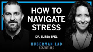 YouTube video preview for How to Manage Chronic Stress: Tools from Dr. Elissa Epel